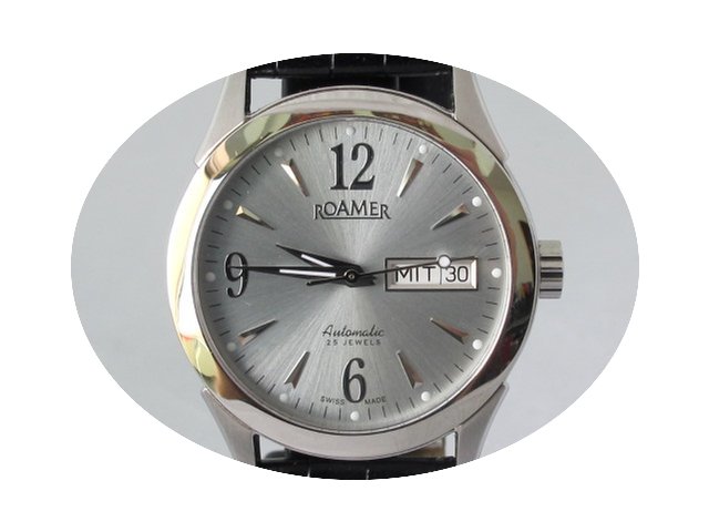 Roamer Competence Automatic...
