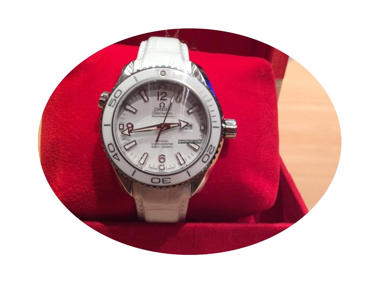 Omega Seamaster Professional Co-Axial Pl...