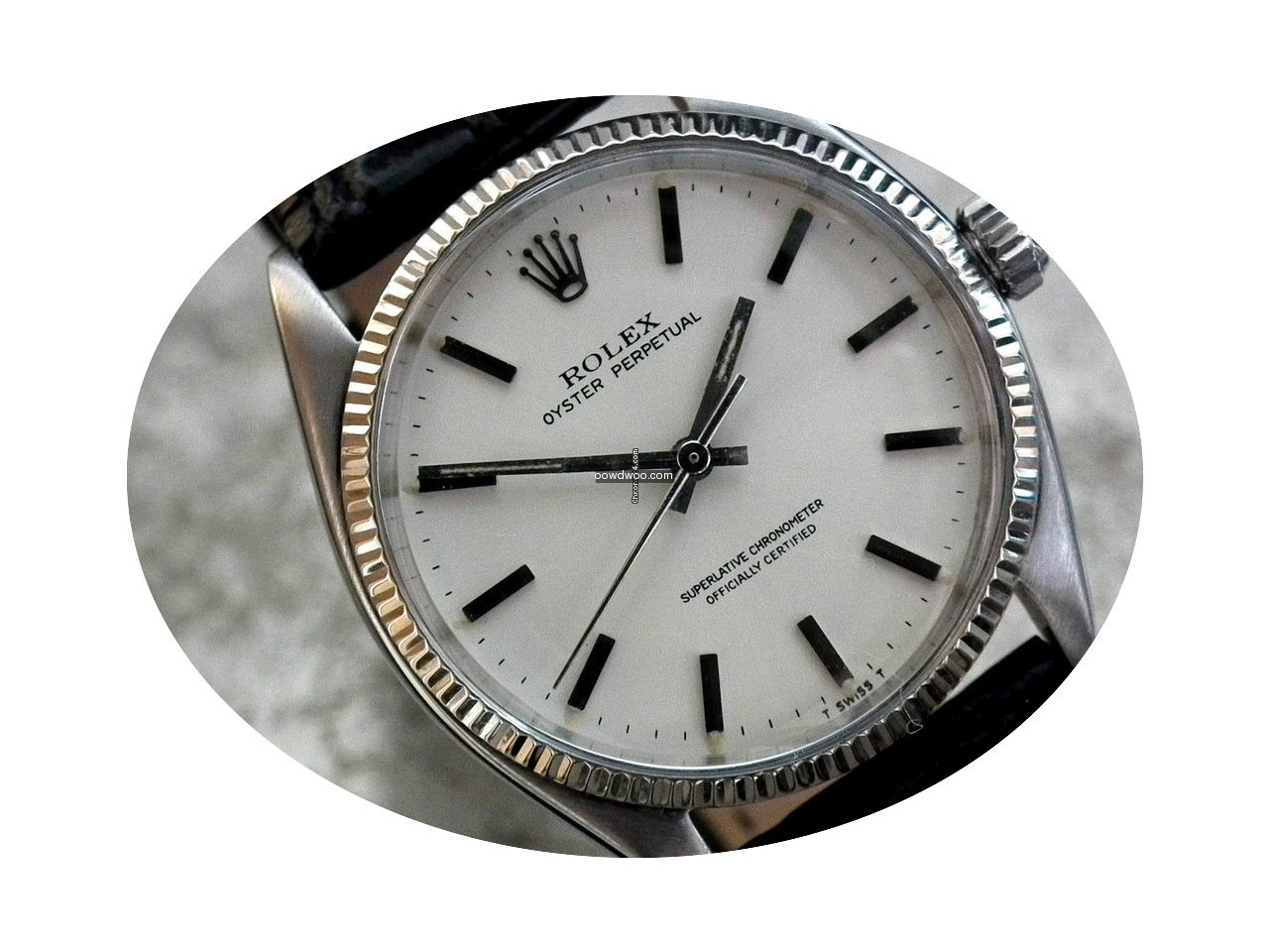 Rolex Oyster Perpetual Chronometer Stand...
