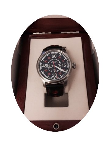 Mühle Glashütte Terranaut II...