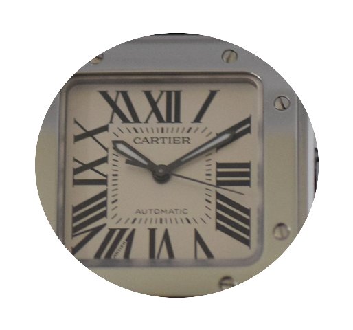 Cartier Santos 100 W20106X8 2878...