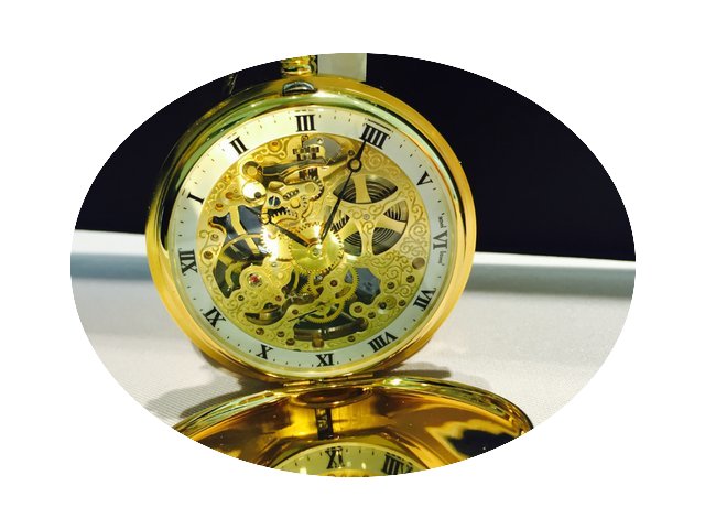Aerowatch Skeleton Collection...