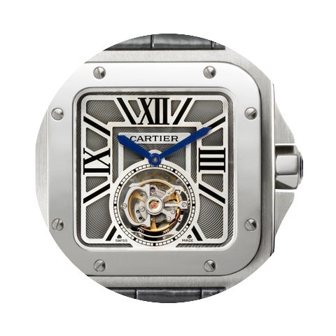Cartier Santos de Cartier...