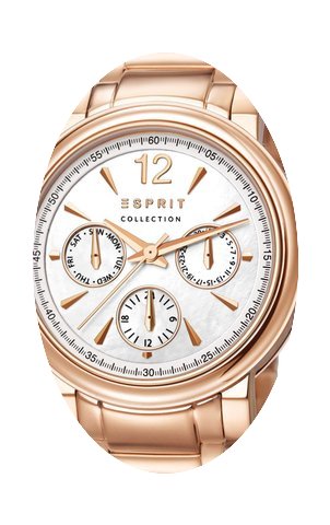 Esprit Collection Penia EL102032F05 Eleg...