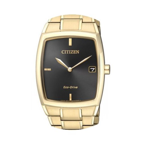 Citizen Elegant Eco Drive Damenuhr AU107...